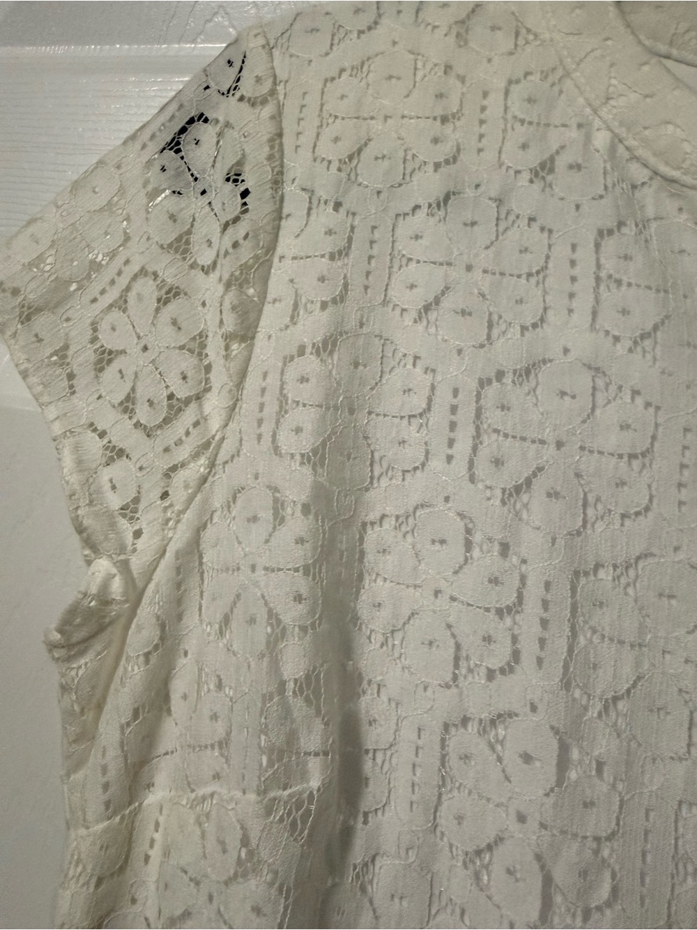 The Limited NWT Cotton Blend Eyelet Lace Button-Front Dress- 6 - Picture 4 of 9